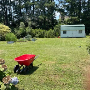 landscaping services by A & S Contractor LLC reviewed on August 15, 2025