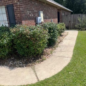 Bush Trimming by S &amp; G Landscaping, Inc. reviewed on October 18, 2025