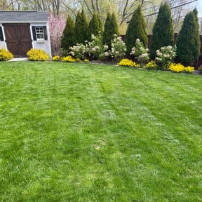 residential landscaping by Tito's Landscaping Services reviewed on August 21, 2025