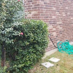 Bush Trimming by Grateful Green Lawn Care reviewed on August 19, 2025