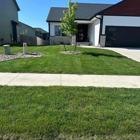 yard care by Simple Solution Home Services LLC reviewed on November 18, 2025