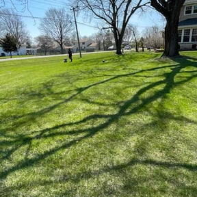 Weeding by Caldwell Lawn Care reviewed on December 3, 2025