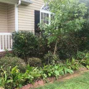 Bush Trimming by Shipman's Pro Lawn Services LLC reviewed on August 21, 2025