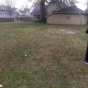 Leaf Removal by Perry And Son Landscape reviewed on November 7, 2025