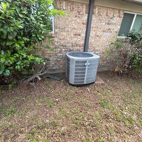 Leaf Removal by Twisted Iron LLC reviewed on October 1, 2025