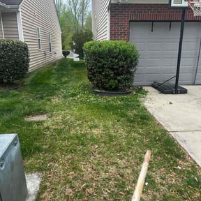 Bush Trimming by Legacy Lawn Services reviewed on August 16, 2025