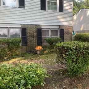 Bush Trimming by Joey smith  reviewed on November 9, 2025