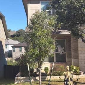 Bush Trimming by Southern maintenance and Landscaping reviewed on December 11, 2025