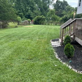 yard work by B&SS reviewed on August 19, 2025