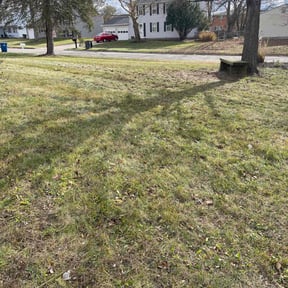 Leaf Removal by FreshCutWeeds reviewed on August 5, 2026