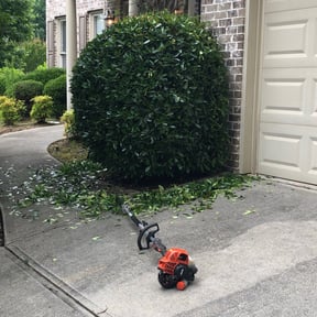 Bush Trimming by Lone star Lawn Care reviewed on August 15, 2025