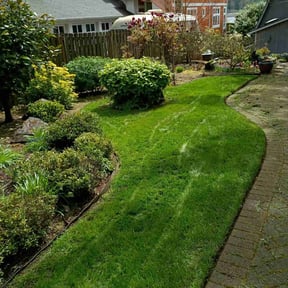 turf care by NasyAngels Landscaping LLC reviewed on July 7, 2025