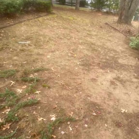 Leaf Removal by Gutierrez reviewed on October 18, 2025