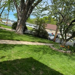 yard service by A Cut Above Lawn & Landscaping reviewed on August 21, 2025