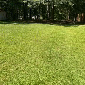 yard care by Ja-La Handyman &amp; Mower reviewed on November 21, 2025