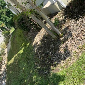 Flower Bed Weeding by Flat Rate Services reviewed on August 18, 2025