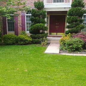 yard care by O.W.E reviewed on August 20, 2025