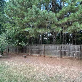 Leaf Removal by RMZ lawncare reviewed on September 15, 2026