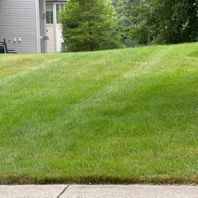 landscaping by Rich Evergreen Mindful Lawn Care reviewed on November 23, 2025