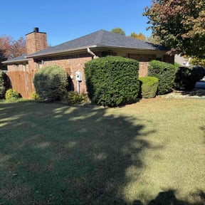 Bush Trimming by Ruben&#039;s Landscaping reviewed on November 8, 2025