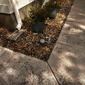 Flower Bed Weeding by Eleazar's Lawn Care reviewed on June 11, 2025