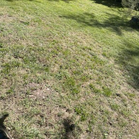 Leaf Removal by JT&#039;s lawn Care reviewed on September 27, 2025