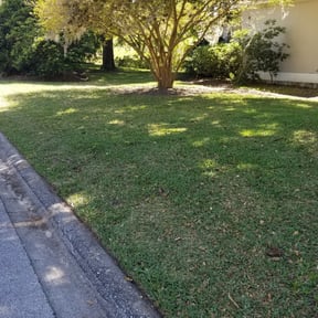 Leaf Removal by Orpez Handy Man reviewed on September 14, 2025