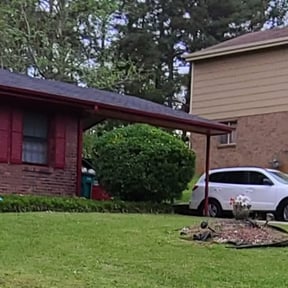 Bush Trimming by E.fragelus Lawn care Services reviewed on August 11, 2023