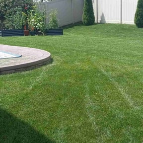 yard maintenance by W&W landscaping reviewed on August 13, 2025
