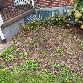 Flower Bed Weeding by Lindsay’s lawncare reviewed on November 9, 2025