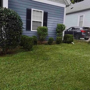 Bush Trimming by Brothers lawn care reviewed on August 18, 2025