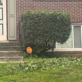 Bush Trimming by Cutting Edge Landscaping Professionals LLC reviewed on April 12, 2024