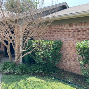 Bush Trimming by Big Horn Landscaping reviewed on August 20, 2025