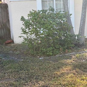 Bush Trimming by LENJAN LLC reviewed on August 21, 2025