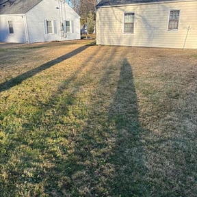 Leaf Removal by Lonestar landscape design DFW reviewed on December 3, 2025