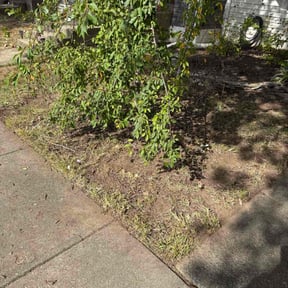 Leaf Removal by Eric&#039;s Lawn Care reviewed on October 20, 2025