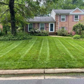 gardening service by Supreme Home Services reviewed on December 14, 2025