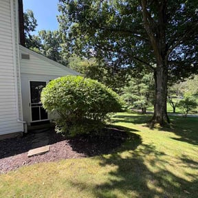 Bush Trimming by Jus Biznizz Landscaping LLC reviewed on August 25, 2026