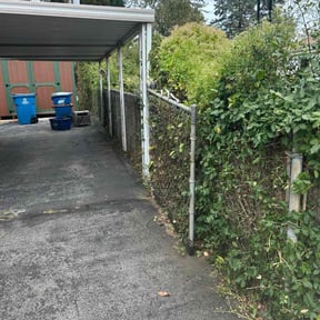 Bush Trimming by Sbm reviewed on November 13, 2024