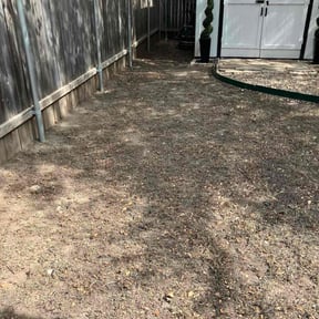 Leaf Removal by Bert&#039;s Landscaping and Propery Mantienance  reviewed on November 6, 2025