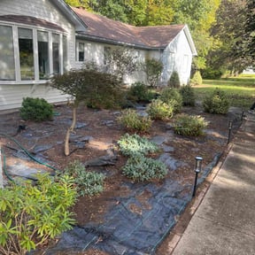 Flower Bed Weeding by KIELS LAWNCARE PROPERTY MAINTENANCE LLC reviewed on November 20, 2025