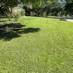 grass maintenance by Mann Services reviewed on August 16, 2025