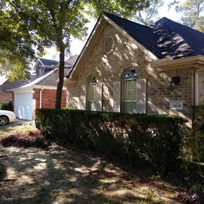 Bush Trimming by George's Lawn Care reviewed on August 15, 2025