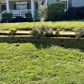 Flower Bed Weeding by A Little Help Lawn Service reviewed on May 1, 2024