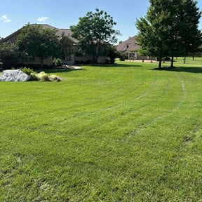 yard care by Individual reviewed on January 30, 2024