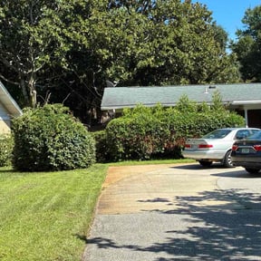 Leaf Removal by Jared and sons reviewed on October 23, 2025