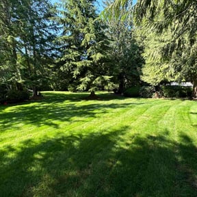 landscaping by Brian Fritts reviewed on November 22, 2025