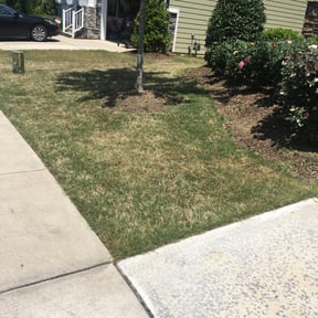 Bush Trimming by Three Palms landscaping service reviewed on August 15, 2025