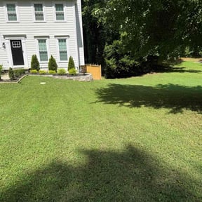 yard service by Grass Munchers reviewed on August 19, 2025