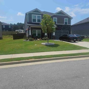 Sodding by  reviewed on November 19, 2025